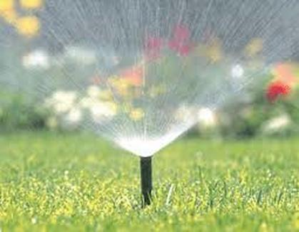 Budget Sprinkler Repair LLC (954)729-6054- Broward County Sprinkler Repairs/Coral  Springs Sprinklers